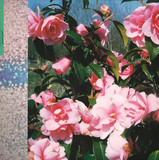 Big Miz - Passing Place w/ Mella Dee Remix