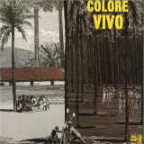 Bjondo - COLORE VIVO