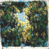 Dugong - Horizons Sauvages