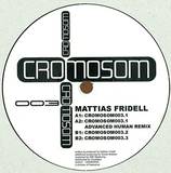 Mattias Fridell - Cromosom003