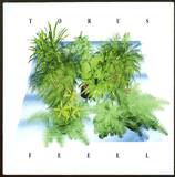 Torus - Feeel