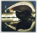 Wolfgang Voigt - Rückverzauberung 9 /  Musik Für Kulturinstitutionen