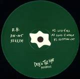 R.b. - Dog In The Night 05