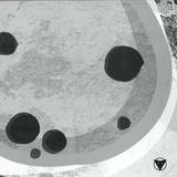 Fedde - Supermoon Ep (including Vakula Remix)