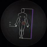 King Cheetah - Endurance