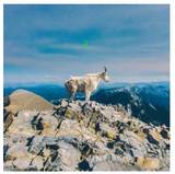 Liima - Ii - Neon Green Vinyl