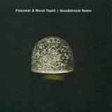 Prosumer & Murat Tepeli - Serenity