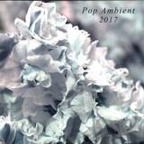 Various - Pop Ambient 2017