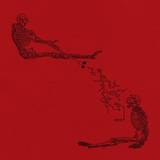 Marcus Fjellström - Skelektikon