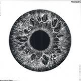 Bill Vortex - Musiques Imaginogènes Vol.1