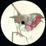 Marko Nastic - Spring Segment