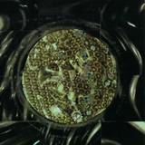 Light Sounds Dark - After The Void 2x12"