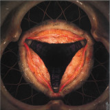 Hyph11E - Aperture 2x12"