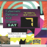 Henry Kawahara - Cybernetic Defiance and Orgasm: The Essential Henry Kawahara