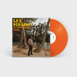 Lee Fields - Sentimental Fool LP
