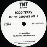 Todd Terry - Cuttin' Grooves Vol.1