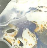 The Zzzzz / Abdulla Rashim - Radioactive Orchestra Remixed (ame & Jonsson/alter Rmxs)
