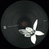 Kangding Ray - Tempered Inmid