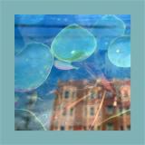 The Reds, Pinks and Purples - Acknowledge Kindness LP