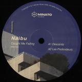 Naibu - Caught Me Falling