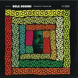 Dele Sosimi - You No Fit Touch Am