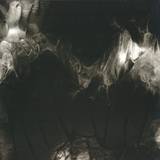 Poly Sone - Echolocate Ep