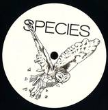 Re-up - Species 001