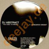 Dj Abstract - You Used To Know