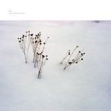 Mára - Here Behold Your Own