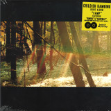 Childish Gambino - Camp LP 2x12"