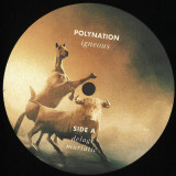 Polynation - Igneous