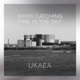 UKAEA - Birds Catching Fire in The Sky
