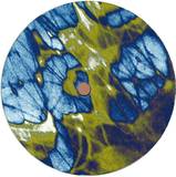 Ed Davenport - Solstice Ep