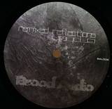 Erphun - Remixed Reflections 2x12"