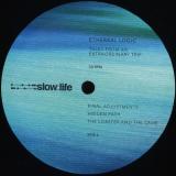 Ethereal Logic - Tales From An Extraordinary Trip 2x12"