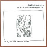 Courtney Barnett - How To Carve A Carrot Into A Rose