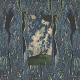 Wide Awake - Mentis Excessus 2x12"
