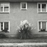 Timboletti - Hintersee Ep