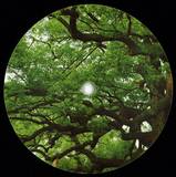 Tominori Hosoya - Love Stories Ep