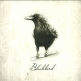 Nico Pusch - Blackbird Ep