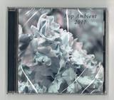 Various - Pop Ambient 2017