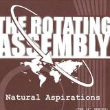 Theo Parrish - Natural Aspirat