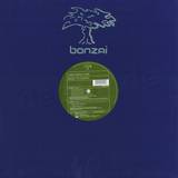 Yves Deruyter - Back To Earth