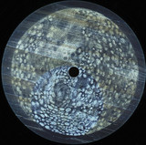 Tibi Dabo - Disbelieve
