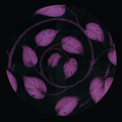The Pothos E.P.