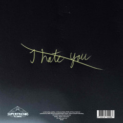 I Love You / I Hate You