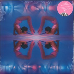 The Mosaic Of Transformation