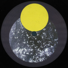 Farms are a Great Place to see Animals