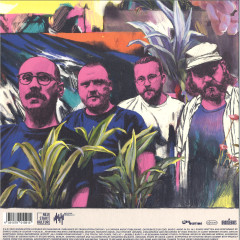 Phantom Vibrations LP - Pink Vinyl
