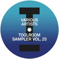 Toolroom Sampler Vol. 25